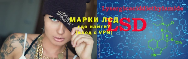 винт Аркадак