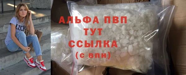 винт Аркадак