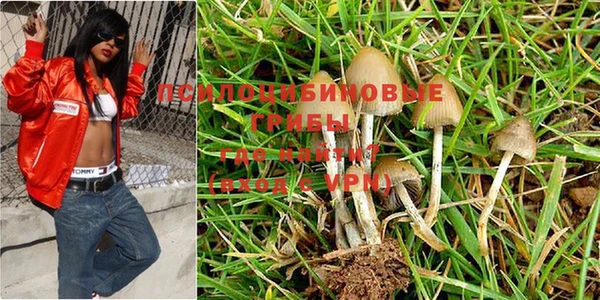 винт Аркадак