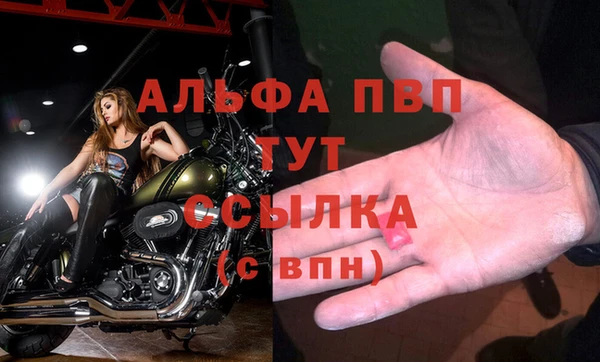 эйфоретик Арсеньев